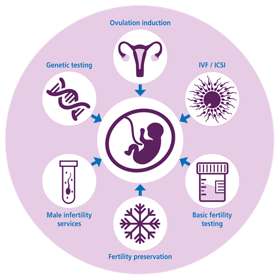 Ovulation induction, IVF ICSI, basic fertility testing, fertility preservation, male infertility services, genetic testing