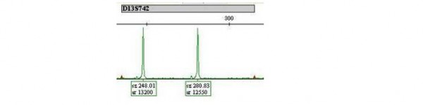 a graph of lab results