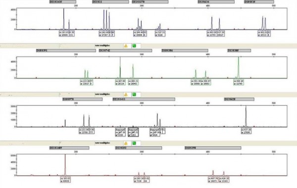 a large graph of lab results