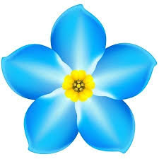 Dementia Forget Me Not