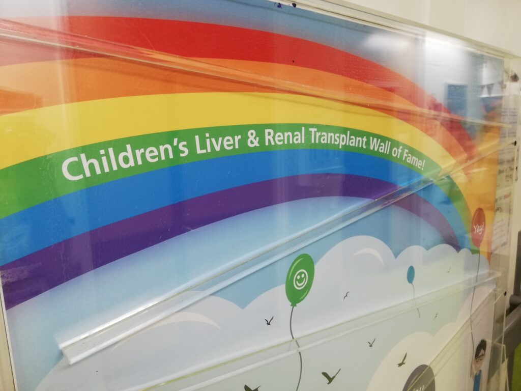 childrens liver and renal transplant wall of fame