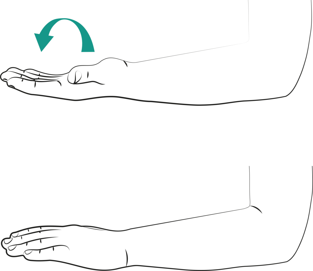 Illustrations showing the forearm rotations exercise.