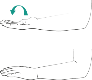 Normal Forearm Bone Rotation Collar Bone Injuries - Leeds Teaching Hospitals NHS Trust