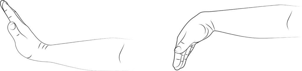 Illustrations showing the finger and wrist flexion and extension exercise.