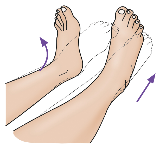 An illustration showing how you can move your ankles to reduce your risk of VTE when travelling.