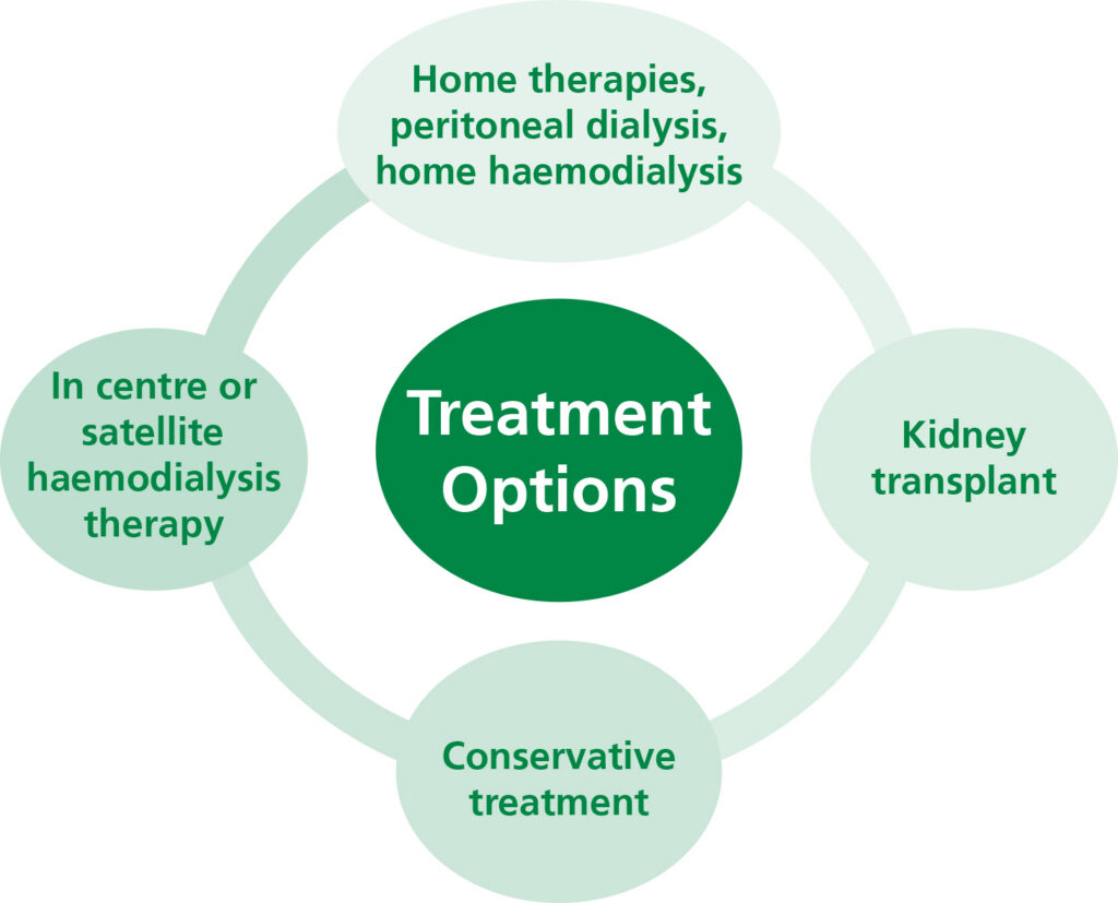 A graphic showing treatment options. Which are:
Home therapies, peritoneal dialysis, home haemodialysis.

Kidney transplant.

Conservative treatment.

and in centre or satellite haemodialysis therapy.