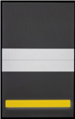 Image of the coaching screen with yellow bar.