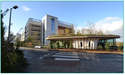 An image of the zebra crossing straight ahead.