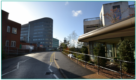 An image of the pavement to the left after you have crossed.