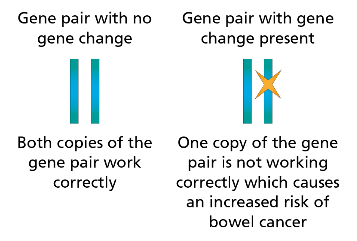 Leeds Clinical Genomics Service - Leeds Teaching Hospitals NHS Trust
