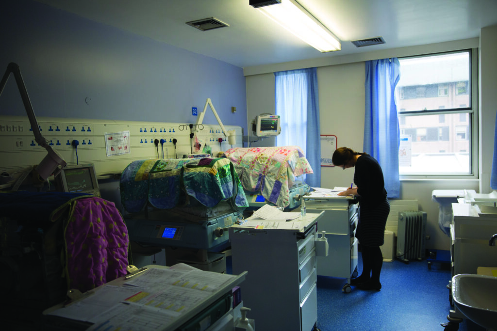 Photograph of incubators with canopies over the top.