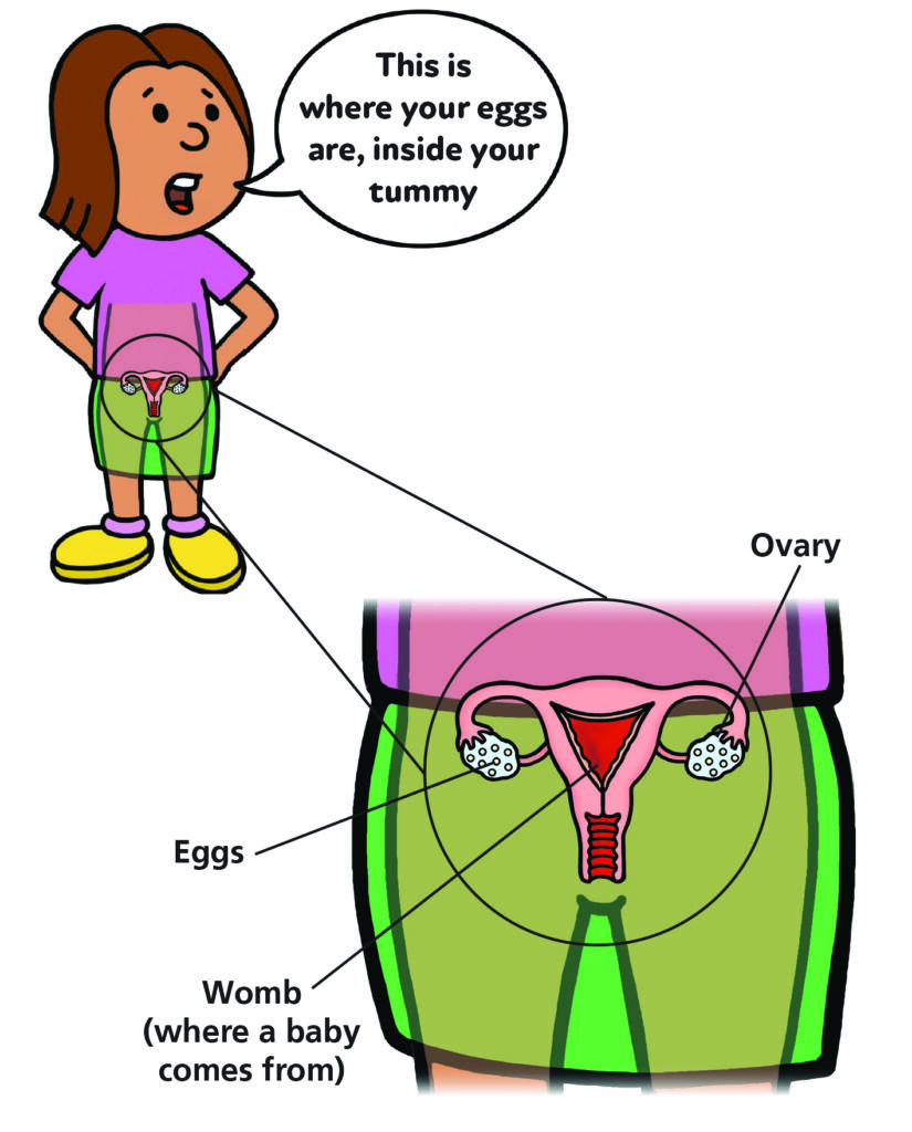 Illustration of a young girl imagining what her insides look like showing the womb where a baby grows and the ovaries where the eggs come from.