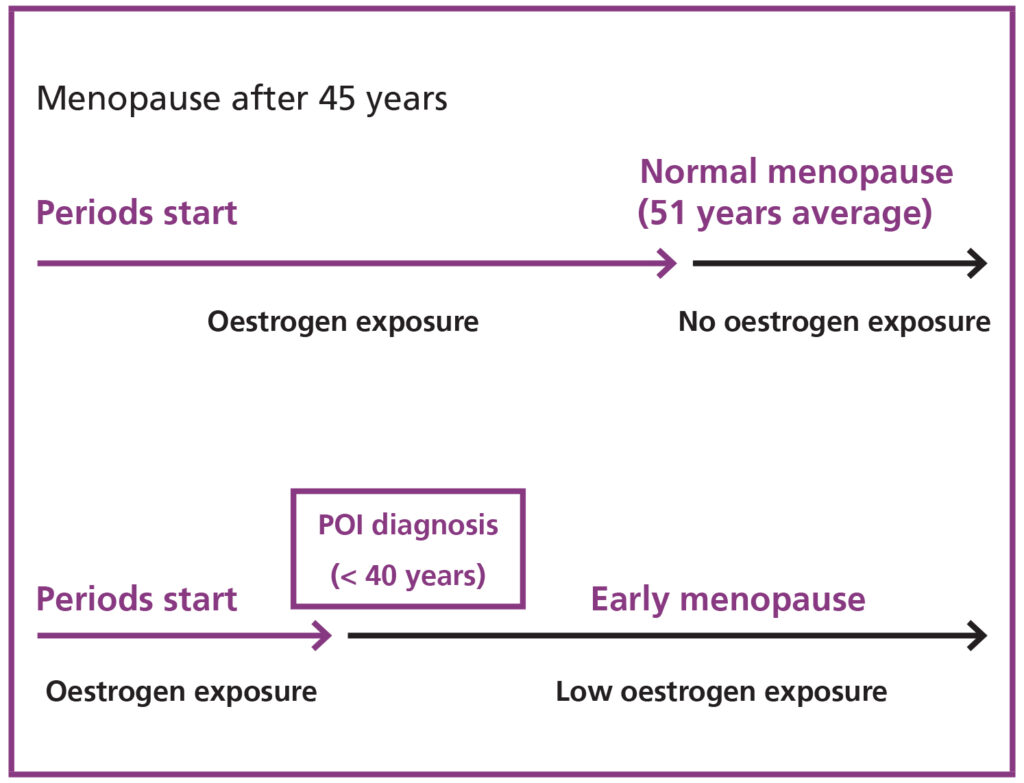 A graphic showing how early menopause can affect oestrogen levels.