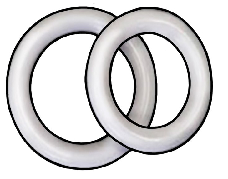 Illustration of a Ring Pessary