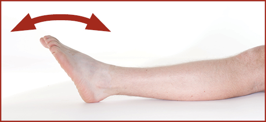 Photograph showing a leg laid flat from the side, the toes are pointing forwards, there is a double headed arrow above the foot going back and forth.