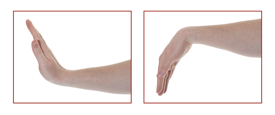 2 Photographs from the side of the lower arm raised horizontal. In the first photo the fingers of the hand are flat and together and raised upwards. In the second photo the hand in now lowered with the fingers pointed downwards.