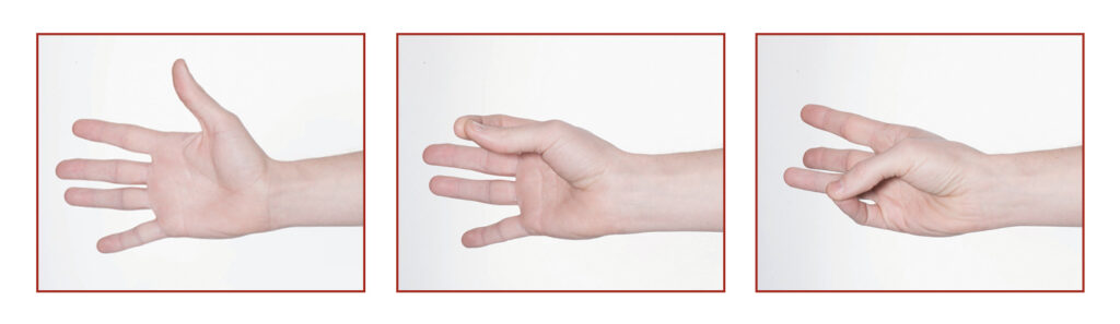 3 photographs of a hand from above palm face upwards. In the first photo the fingers are open. In the second photo the tip of the thumb is touching the tip of the index finger. In the third photo the tip of the thumb has reached over and is touching the tip of the little finger.