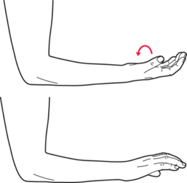 This picture shows the arm rotations. the arm is bent at the elbow close to the body. Then their arm is rotated so the palm faces upwards. The bottom image shows the hand rotating to face downwards.