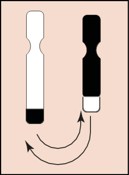 Image showing a Reciprocal Translation.