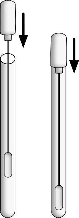 3. Illustration of the swab being placed back into the tube.